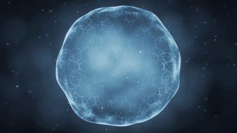 上海CDMO小分子CDMO公司：揭秘小分子药物研发的幕后英雄**