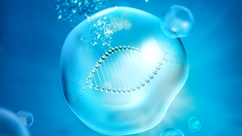 基因治疗：揭开国内生物制品厂家的神秘面纱