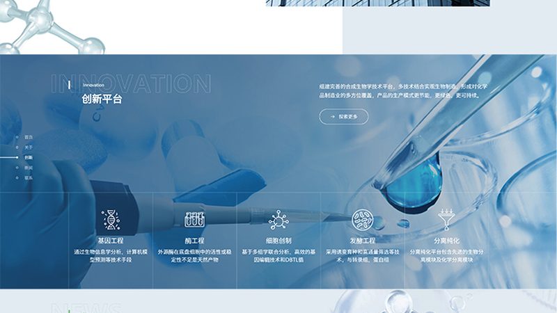 揭秘上海生物医药研发外包公司：研发之路上的得力伙伴