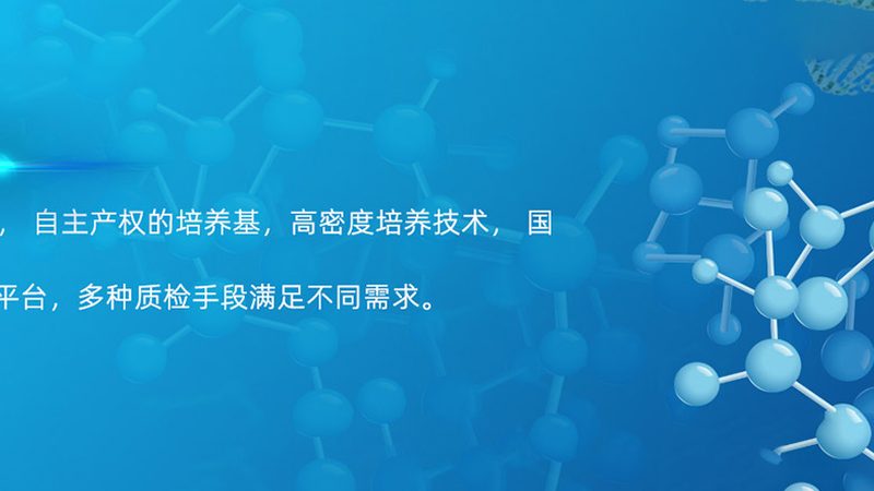 第三方诊断试剂代工工厂：揭秘其背后的工艺与选择要点**