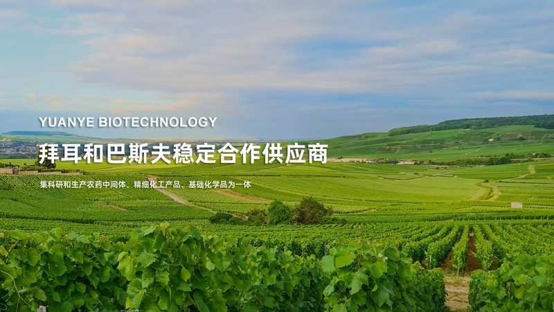 离心管代理区域限制：揭秘背后的合规与市场逻辑**