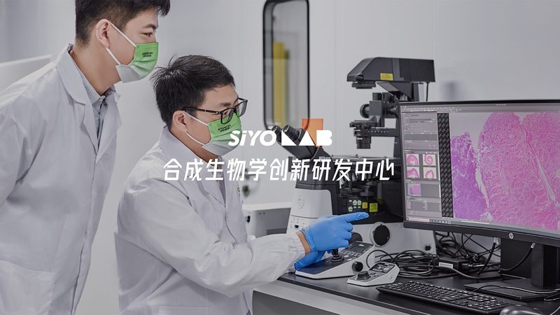 上海化学实验室耗材，如何选择更合适？**