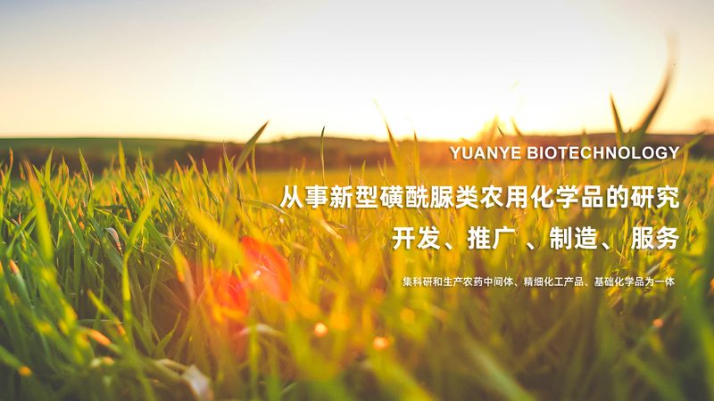 细胞工厂维护人员培训：关键技能与实操要点**