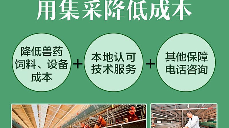CRS实施流程：揭秘生物科技研发的“幕后功臣