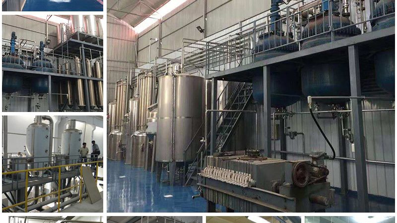 基因治疗生物制品临床试验：报价背后的考量因素