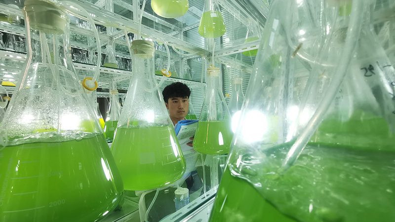 抗原检测和PCR检测：速度与准确性的较量